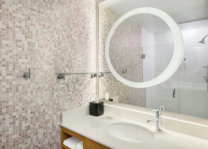 Springhill Suites By Marriott Detroit Metro Airport Romulus